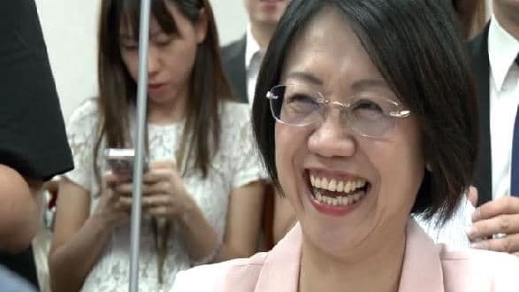 翁曉玲提「憲法判決可公投」　民進黨團：立法院不是「翁上人」一人說了（新聞配圖）