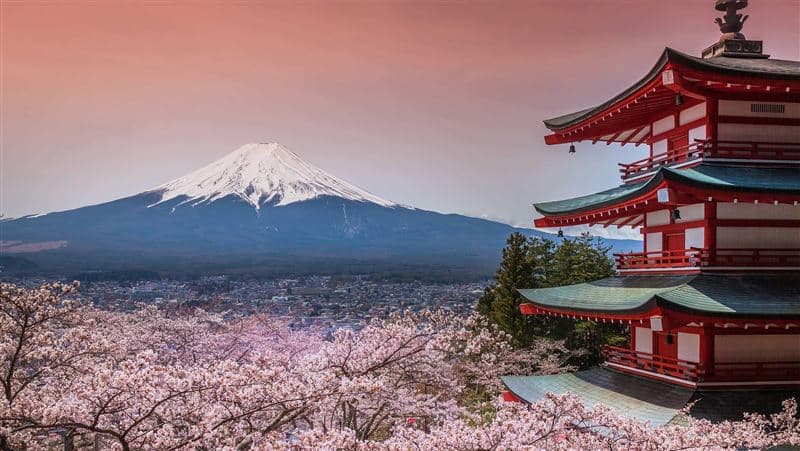 限量搶!雄獅X長榮曼谷、沖繩買一送一 東京、首爾5888元(新聞配圖)