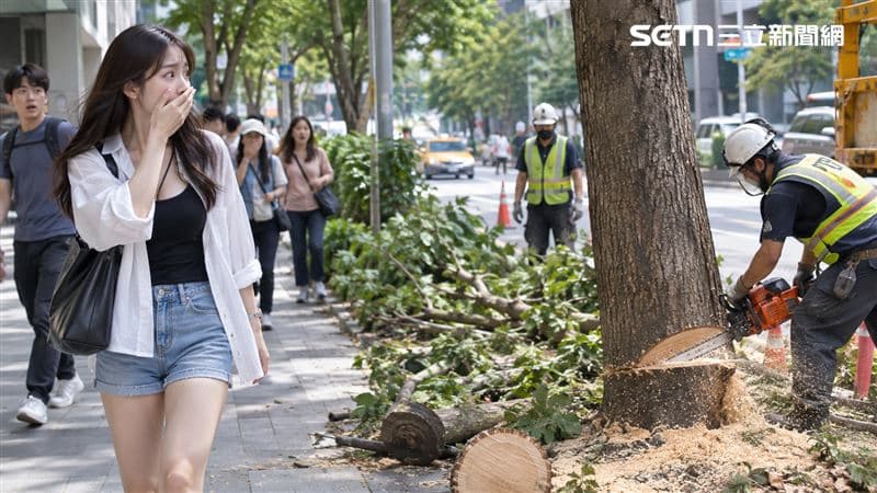 捲台北市綠蔭驟減風暴！中央立法砍樹？國土署澄清：是不能阻擋駕駛視線（新聞配圖）