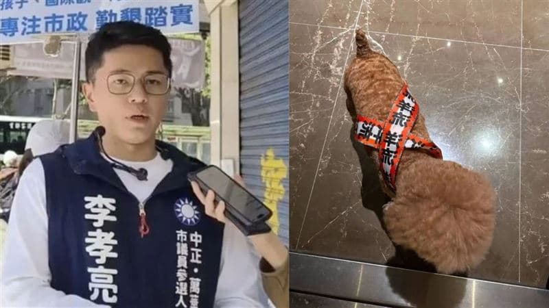 昔捲死亡連署風波!李孝亮曬愛犬披「洋流飄帶」 掀網熱議:風向變了(新聞配圖)