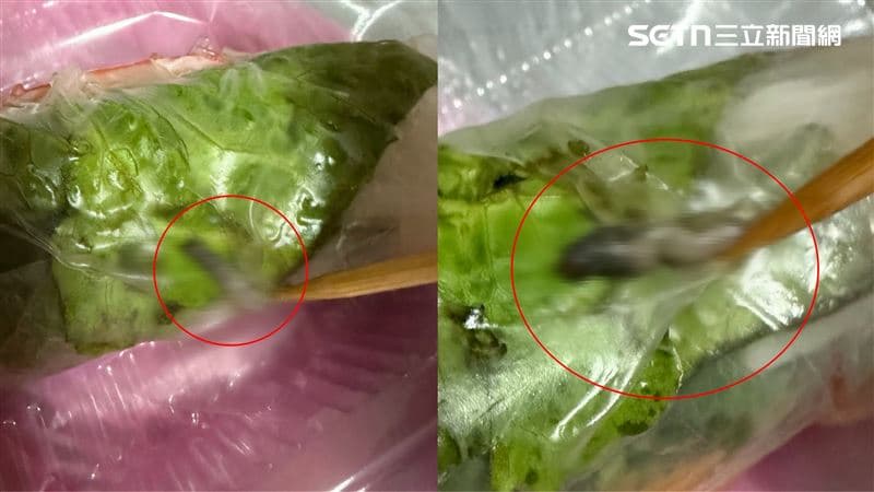 越南春捲裹肥蟲!苦主吃2個崩潰:「怕全家族已下肚」 稽查結果曝光(新聞配圖)