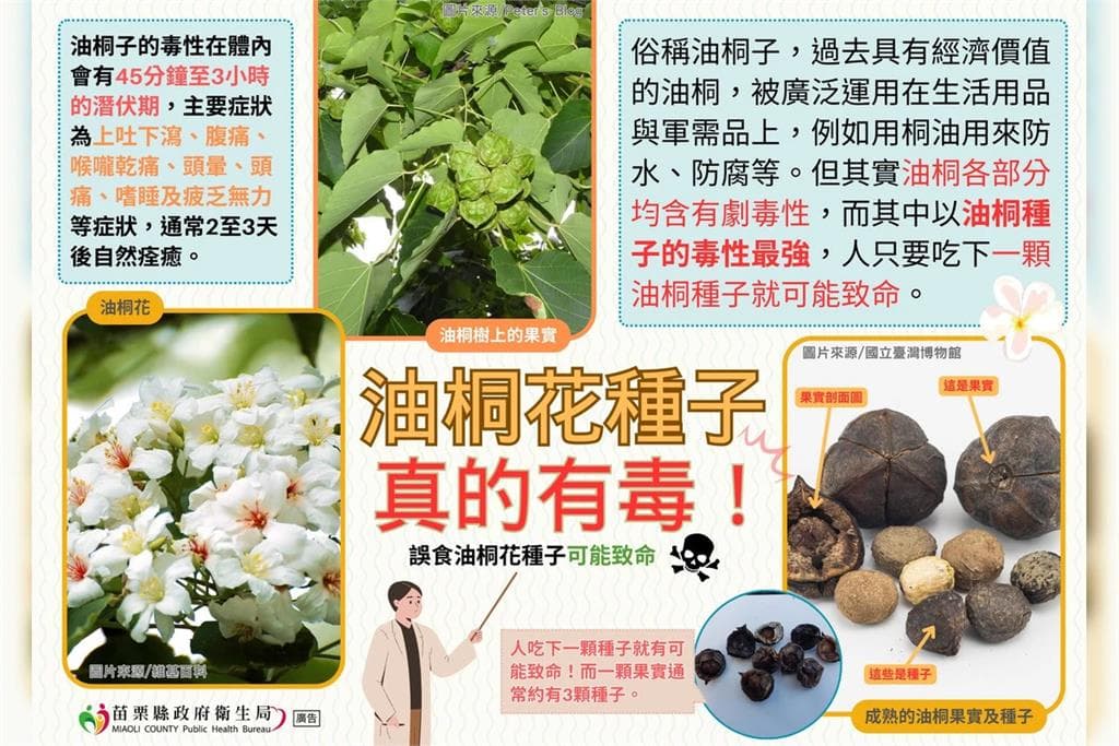 陽明山知名私校出事 6生誤食「油桐子」身體不適送醫(新聞配圖)