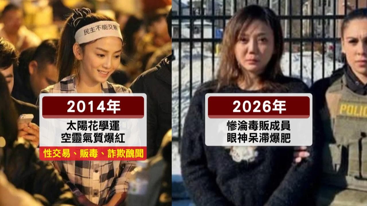 「太陽花女王」劉喬安涉走私古柯鹼 運輸第一級毒品最重可判死(新聞配圖)
