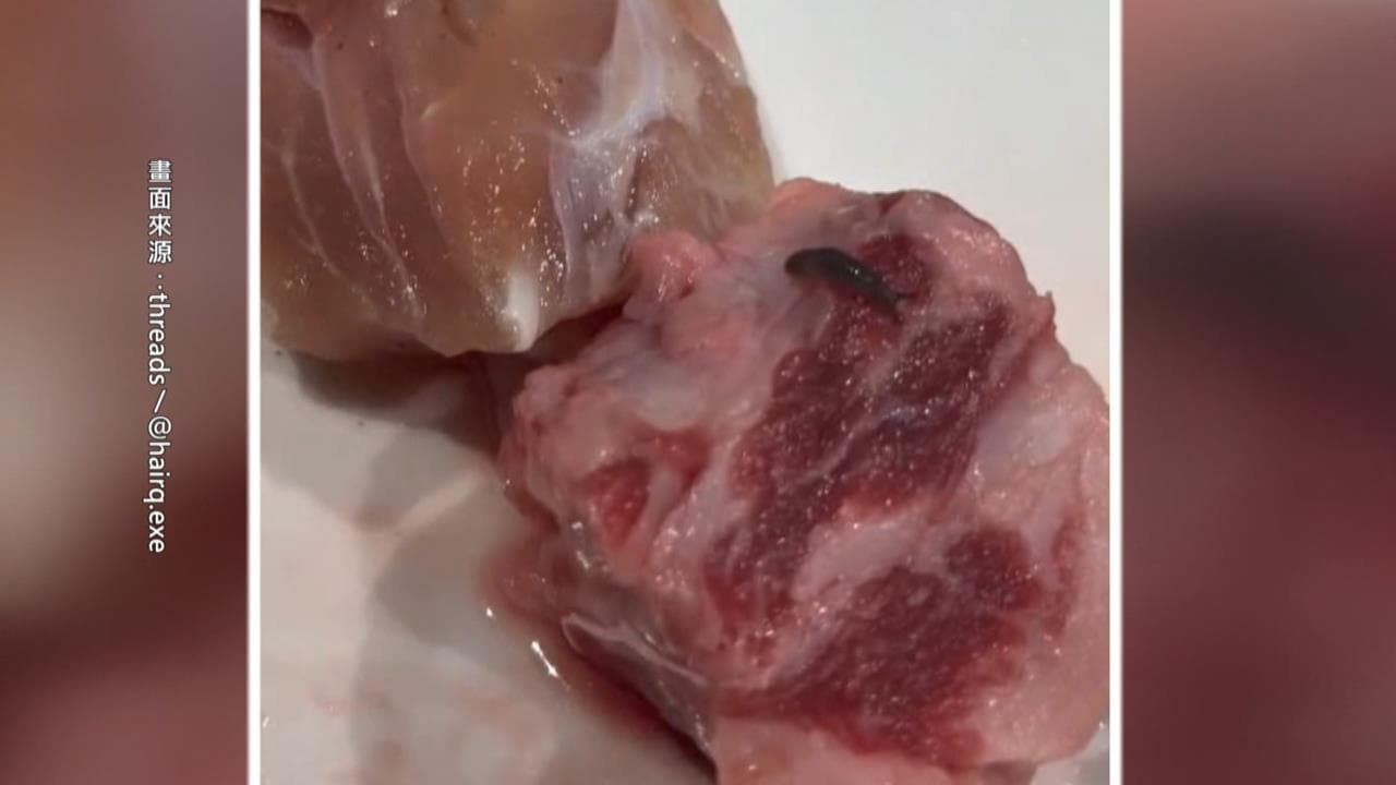 北車烤肉店驚見蛞蝓爬肉盤！　醫：誤食嚴重恐釀腦膜（新聞配圖）