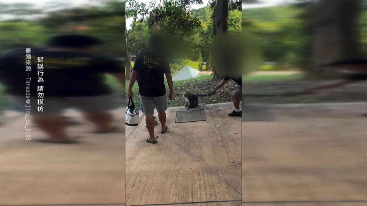 最壞身教！壽山動物遊客小孩面前　拿雨傘打獼猴（新聞配圖）