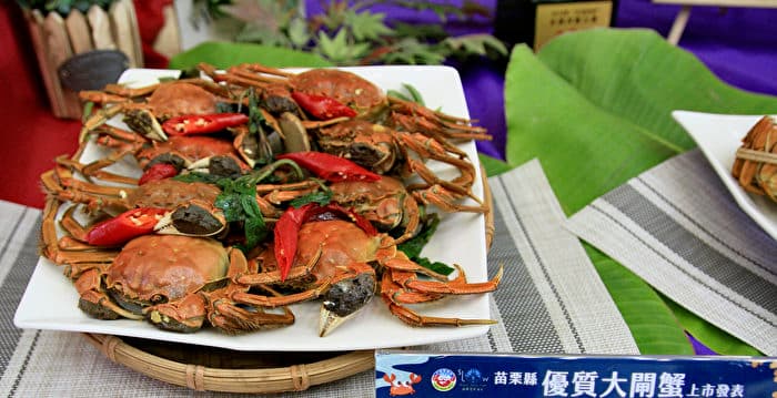 中秋節後 大陸大閘蟹價格下滑一半(新聞配圖)
