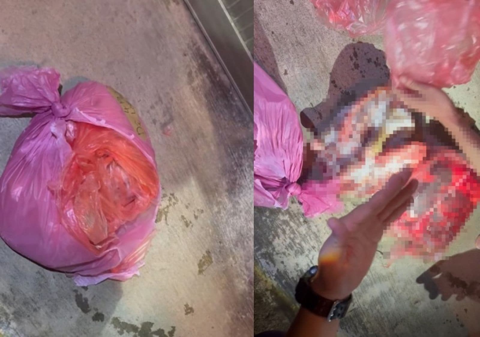 牠曾經是一條生命...中秋爆賣狗肉！交貨「驚見雙腿尾巴」　跑腿移工：肉品來自台中山區（新聞配圖）