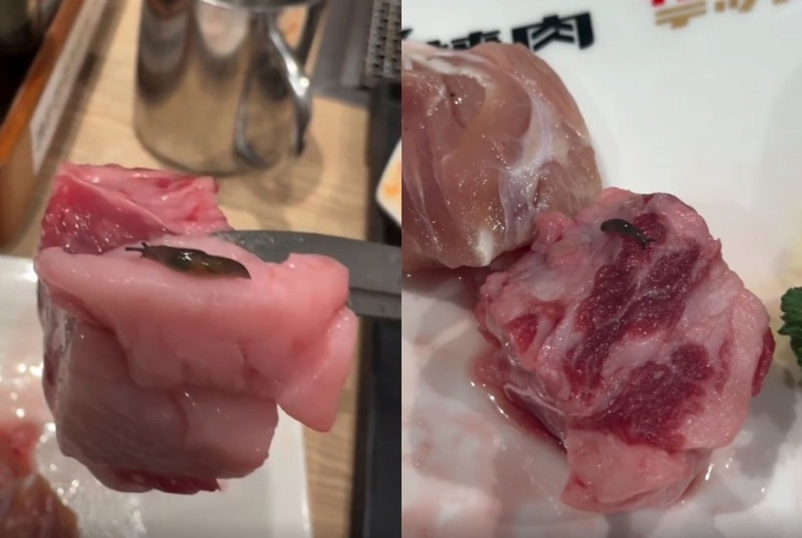北車連鎖燒肉店驚見「活蛞蝓在生肉上爬」 店員竟淡定吐1句...網嚇壞:會出人命(新聞配圖)