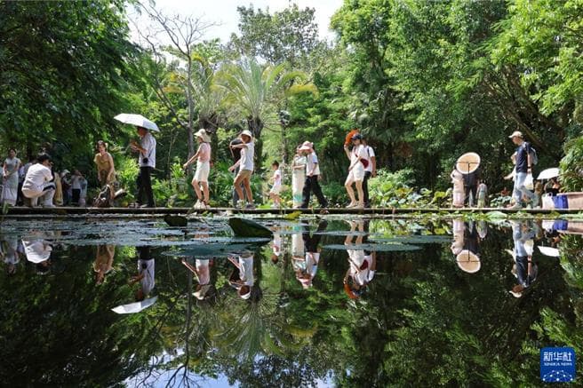 走過路過不要錯過！十一假日新型運輸模式改變傳統旅遊（新聞配圖）