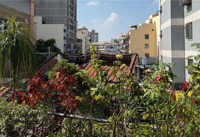 彰化爆本土登革熱社區群聚 衛生局開設採檢站、開罰8髒亂點(新聞配圖)