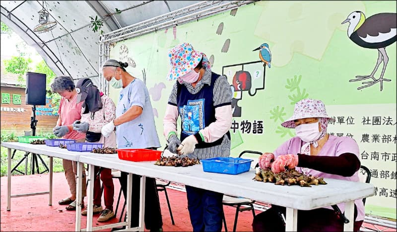 官田水雉教育園區生態季10/4登場 剝菱角賽報名(新聞配圖)