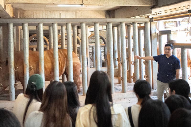 準獸醫師直擊犀牛與孟加拉虎照護 六福村開放後場實務觀摩(新聞配圖)