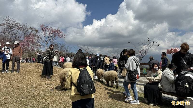 女友安排平日玩國旅!卻為了「這些事」與男友爭執(新聞配圖)
