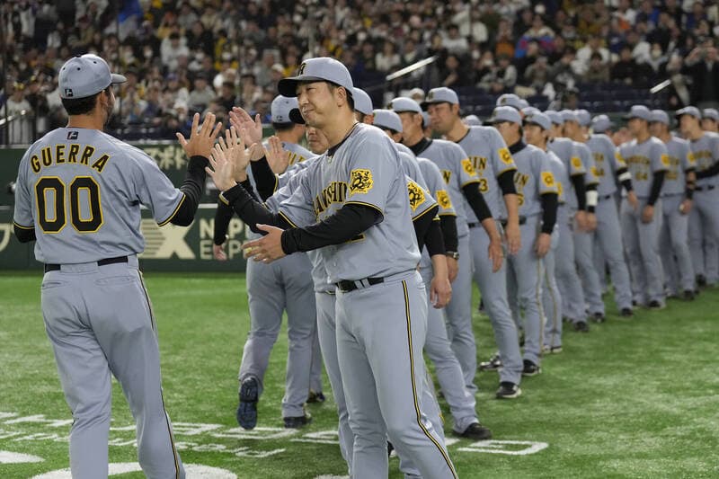 日職》連2年央聯封王！阪神虎創隊史首見紀錄 虎迷嗨翻跳河慶祝（新聞配圖）