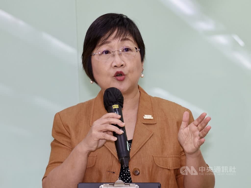 估4800僑胞參與國慶 徐佳青初判僑青對台興趣提升(新聞配圖)