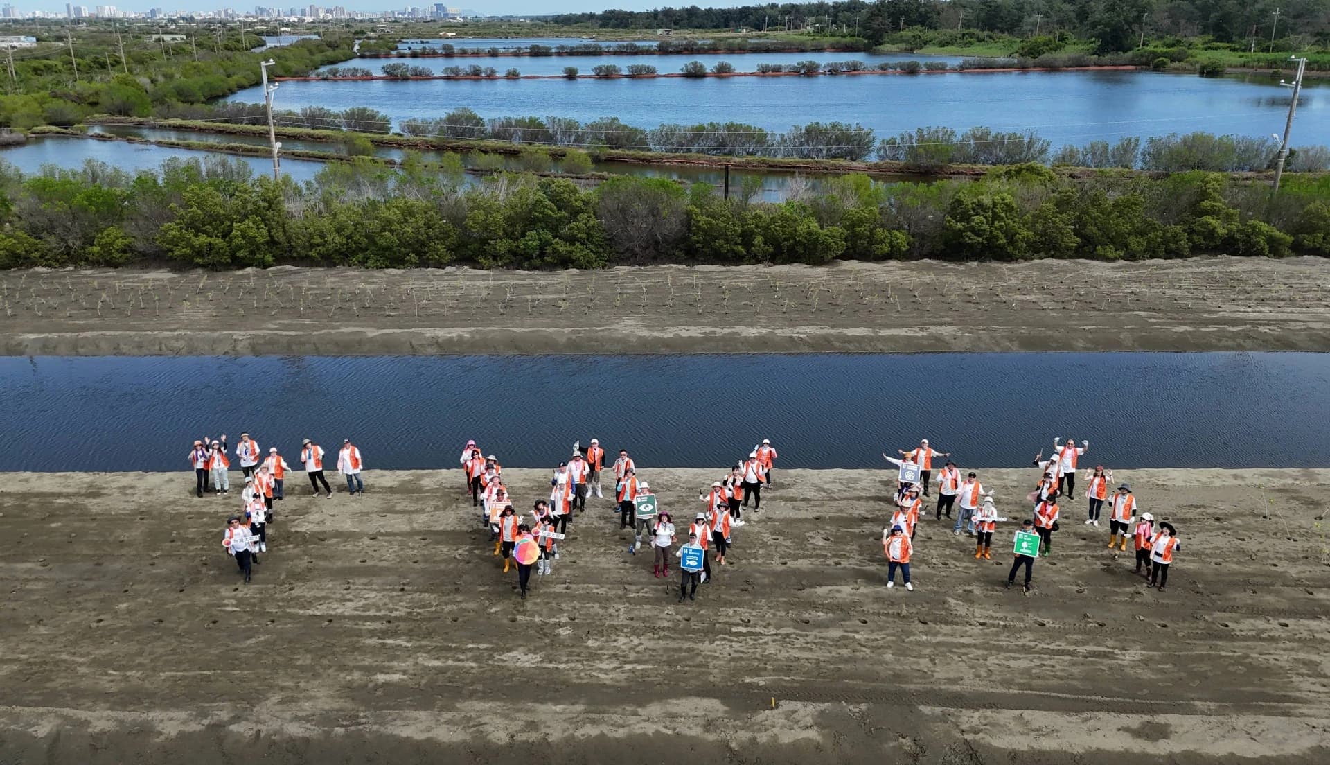廢棄魚塭也能翻轉成為碳匯基地?從台江國家公園紅樹林復育認識藍碳(新聞配圖)