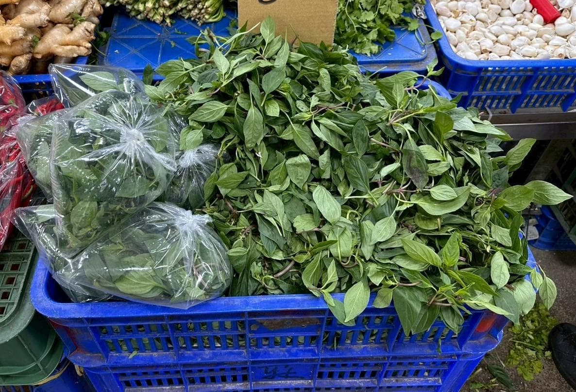 驚!九層塔80%不合格「還檢出禁藥」 專家:恐危害神經傳導(新聞配圖)
