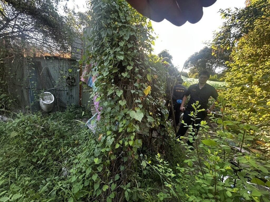 高雄橋頭區農場路傳異味!民眾驚見乾屍、檢警調查身分死因(新聞配圖)