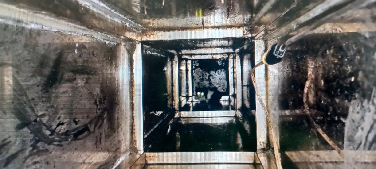 幼貓受困宮廟柱內2天! 動保處「救命神索」救援成功(新聞配圖)