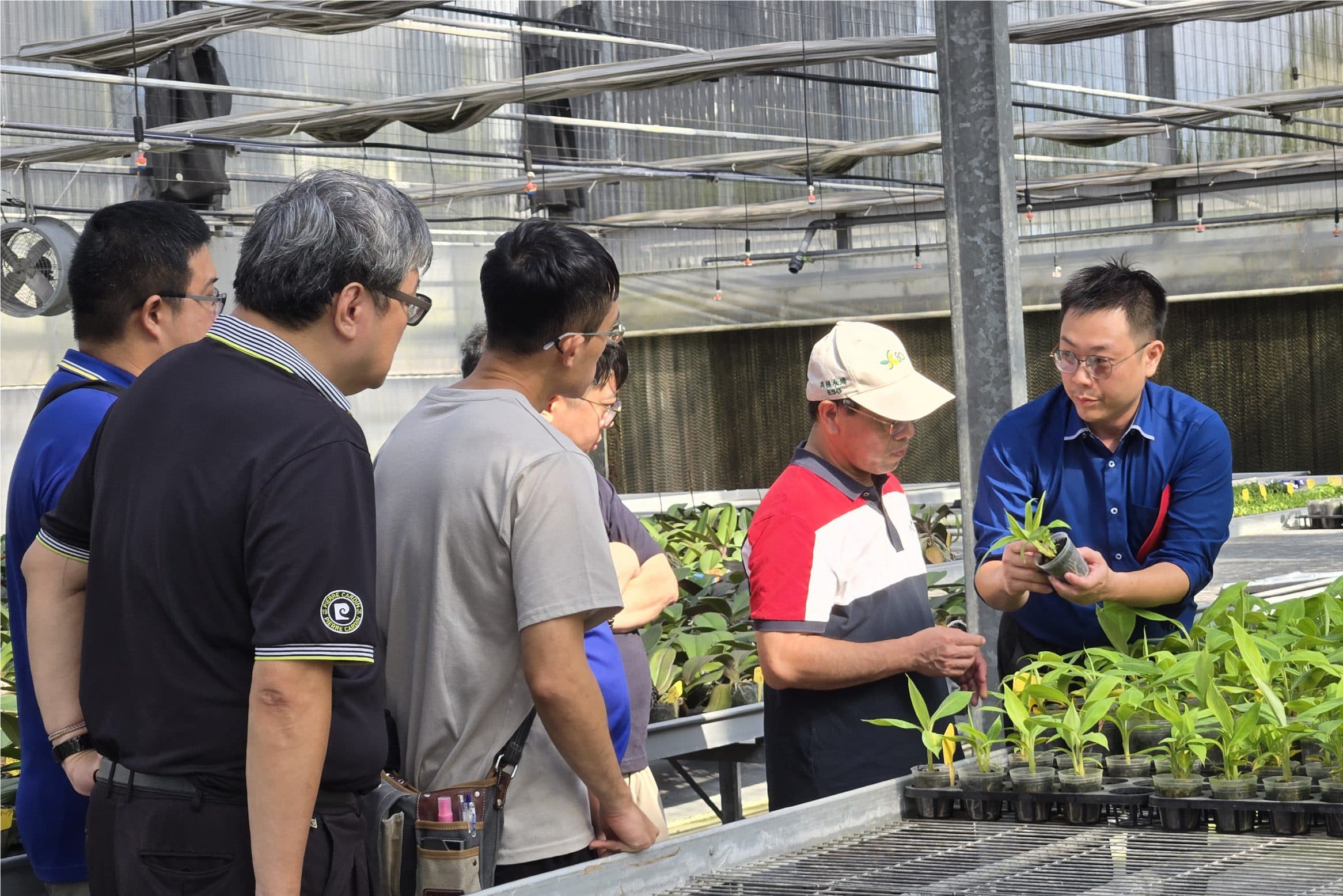 元樟生技攜手順天堂簽署合作契約 推進中草藥種苗培育與栽培試驗 - 睿傳媒 Rightmedia(新聞配圖)