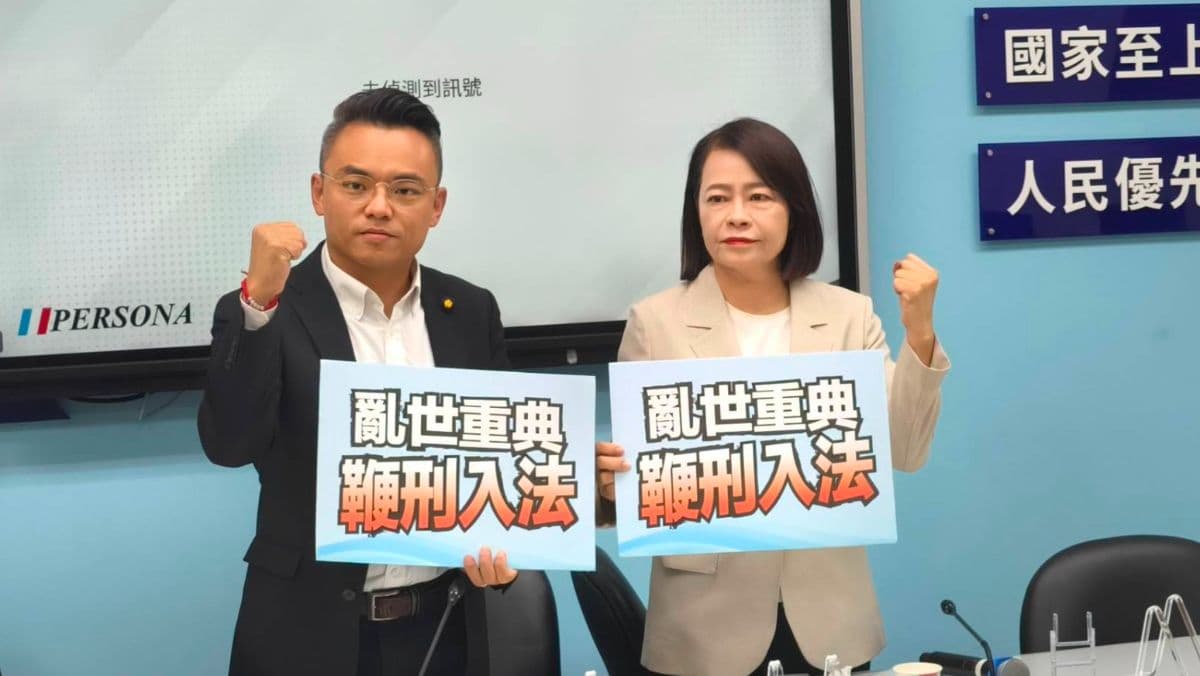 公投碰壁!藍改推鞭刑入法「最重12下」 洪孟楷:民進黨在野時也支持(新聞配圖)