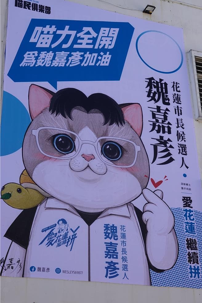 別人選舉掛大頭照 他讓「小肺霧」當主角:貓比本人還吸睛(新聞配圖)