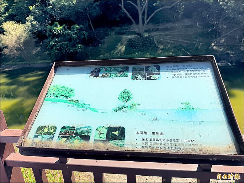 路凹陷指標舊 竹市青青草原如破敗「時空膠囊」(新聞配圖)