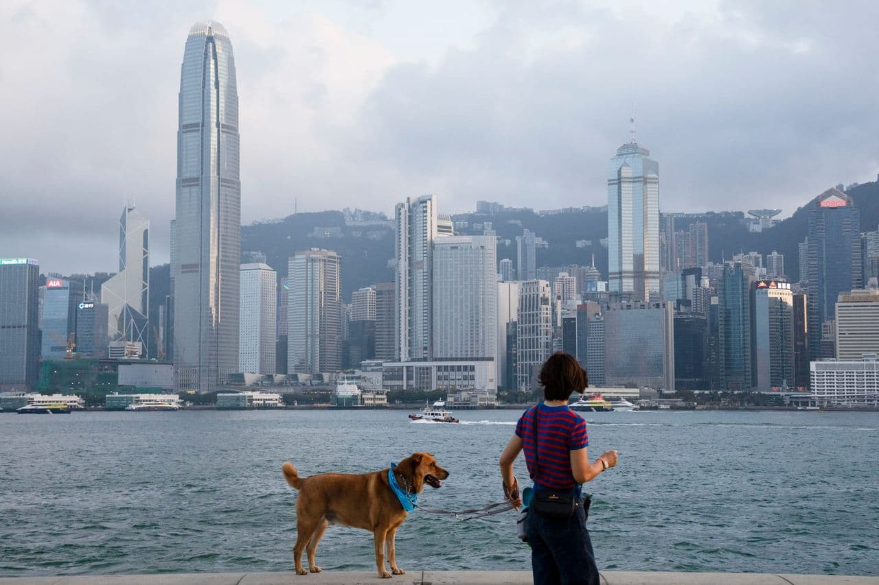 香港狗咬人事故:從人寵共融到全城獵狗,狗隻管理鏈是如何斷裂的?(新聞配圖)